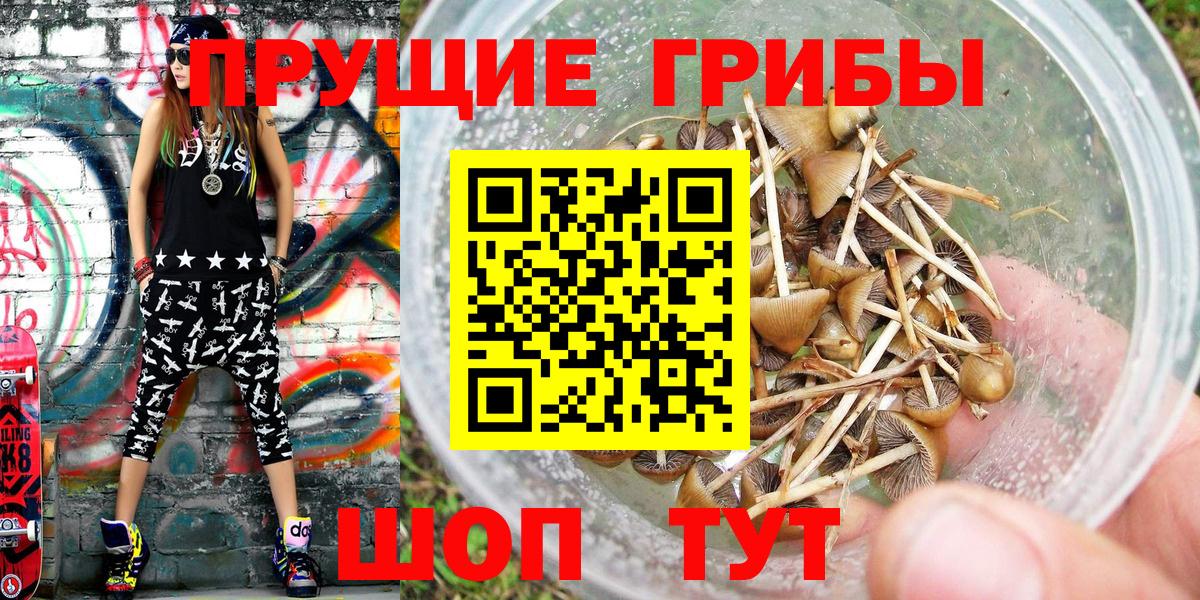 Галлюциногенные грибы MAGIC MUSHROOMS Майский